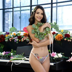 Ohana Petite in March 2025 Fantasy Of The Month - S6:E8 (Photo 4) Ohana Petite in 'Nubiles' March 2025 Fantasy Of The Month - S6:E8 (Thumbnail 4)